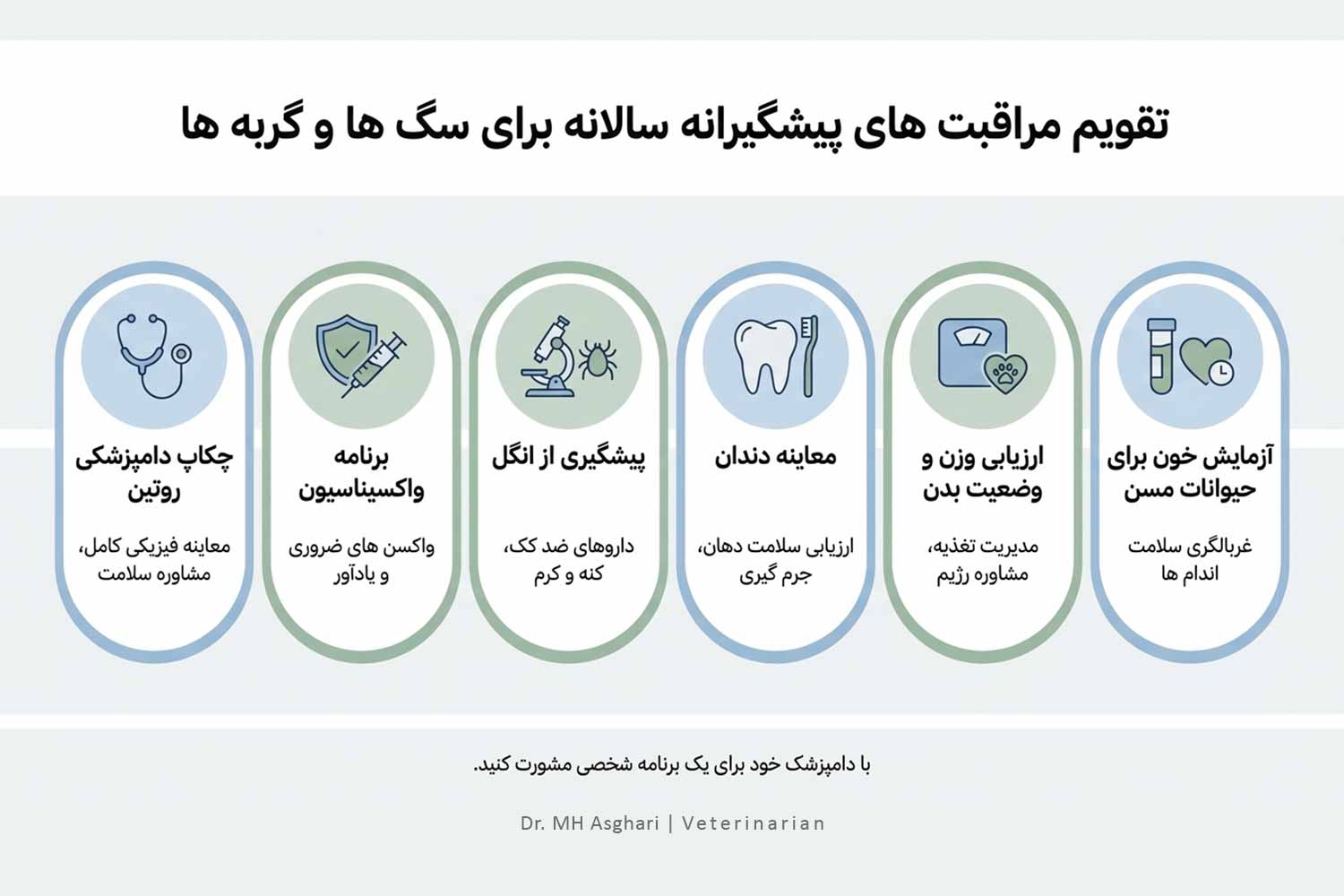 اینفوگرافیک تقویم سالانه مراقبت و چکاپ سگ و گربه شامل واکسیناسیون، انگل‌زدایی، معاینه دندان و آزمایش خون